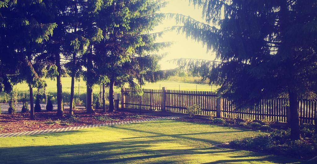 Swierkowe Zacisze Nałęczów 部屋 写真